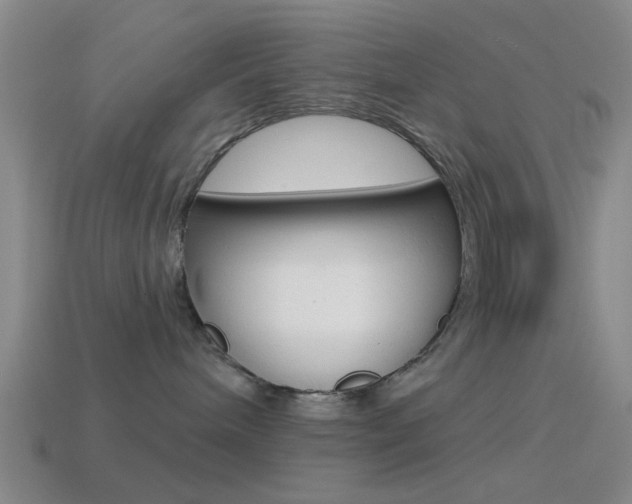 X0000114570240200910191040