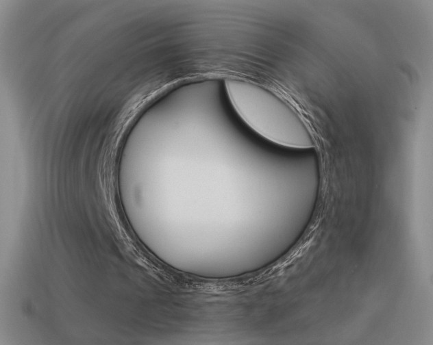 X0000114570241200910191039
