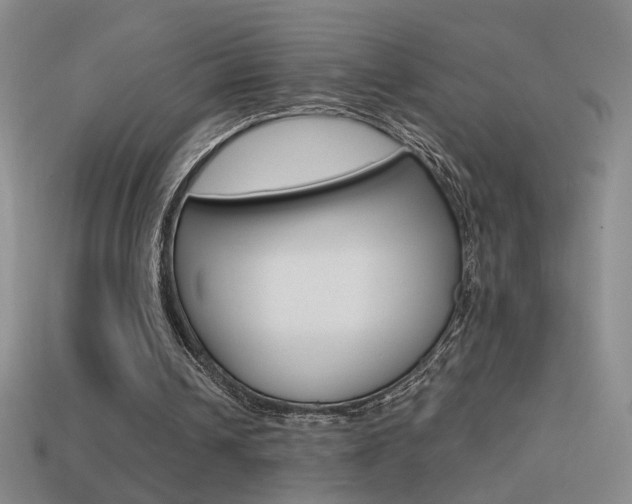 X0000114570242200910191039