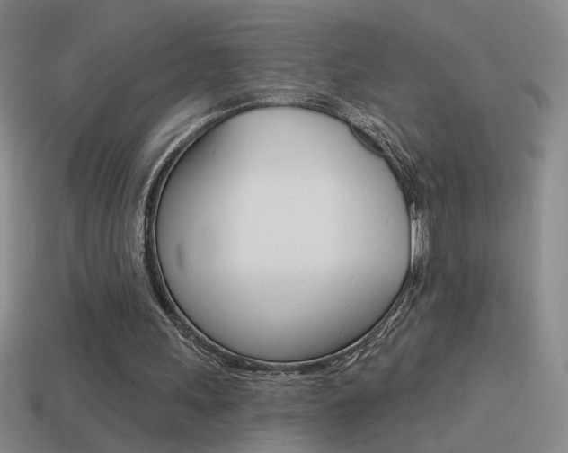 X0000114570243200910191039