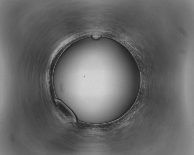 X0000114570244200910191039