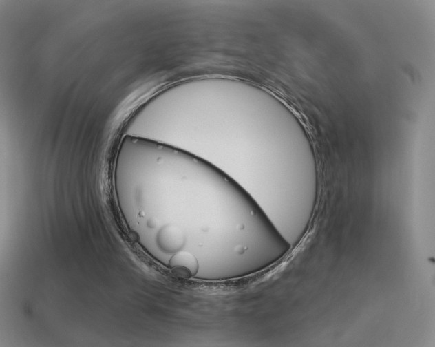 X0000114570245200910191039