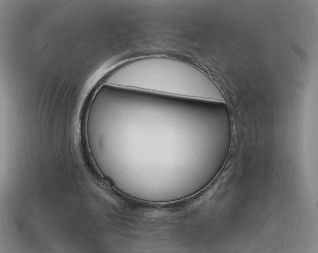 X0000114570246200910191039