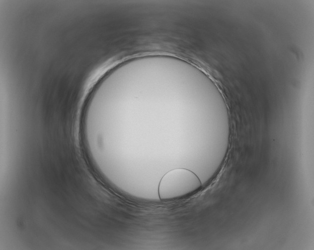 X0000114570248200910191039