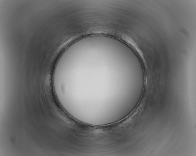 X0000114570249200910191039