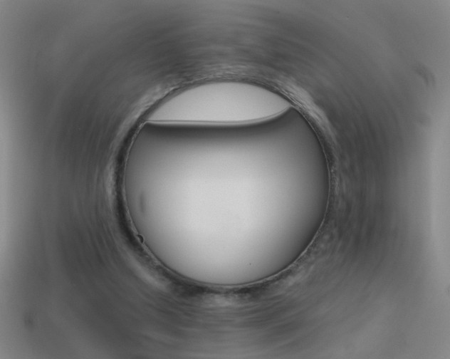 X0000114570250200910191039