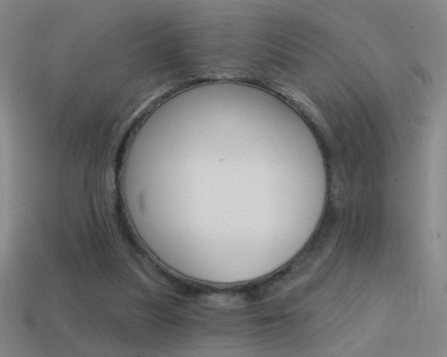 X0000114570251200910191039