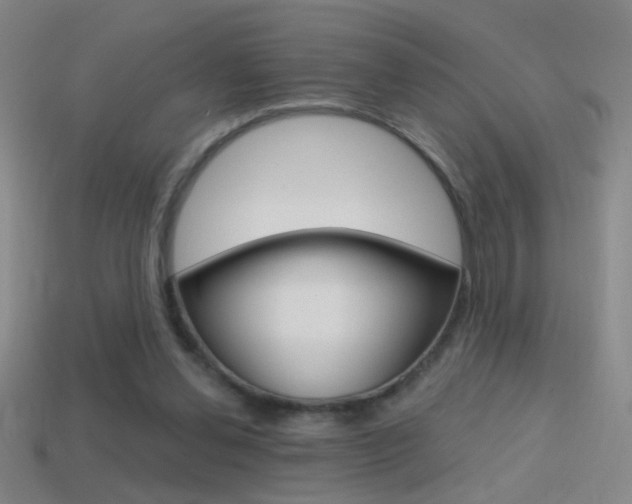 X0000114570252200910191039