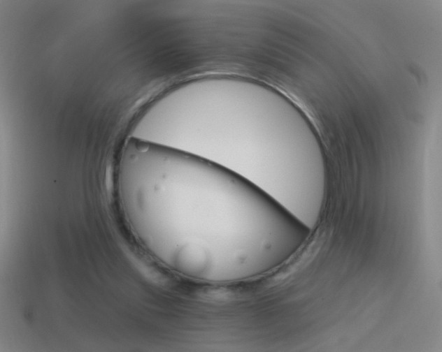 X0000114570253200910191039