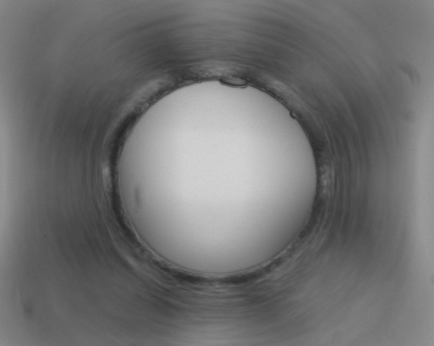 X0000114570254200910191039