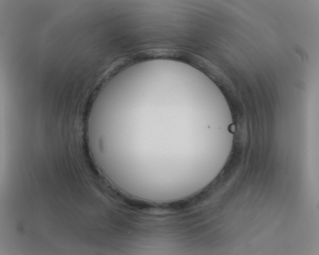 X0000114570255200910191039
