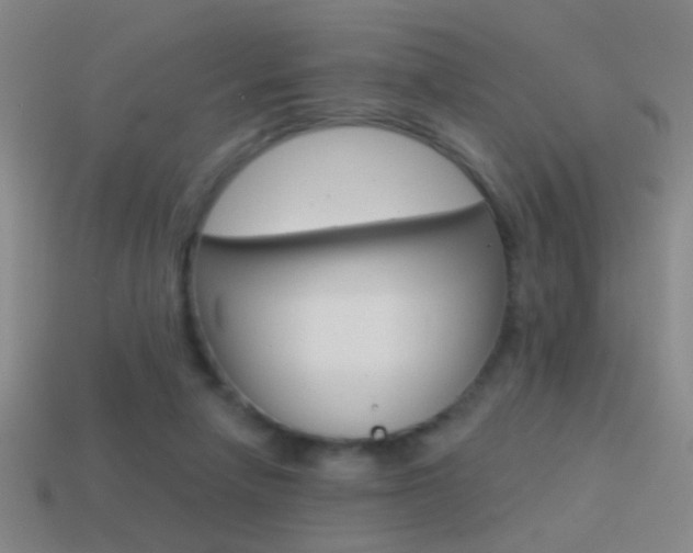 X0000114570258200910191039
