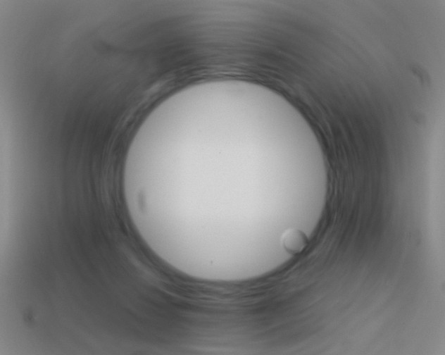 X0000114570260200910191039