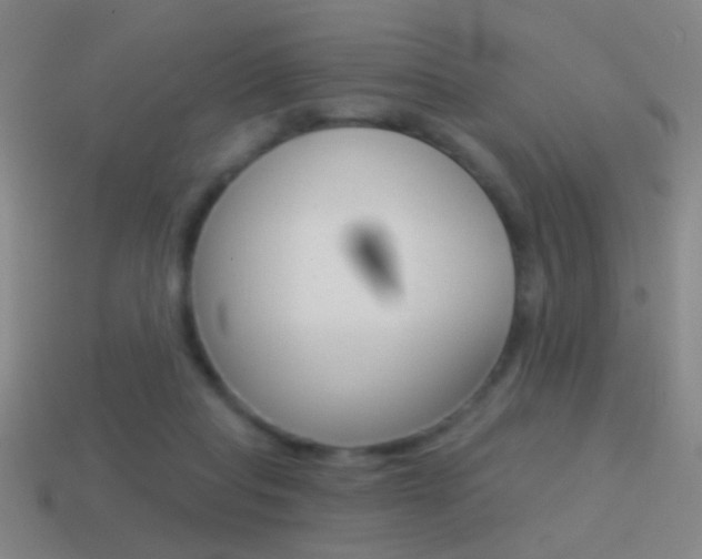 X0000114570261200910191039