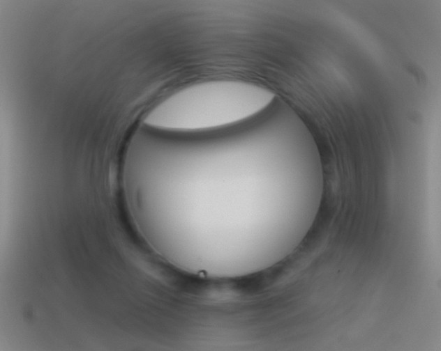 X0000114570262200910191039