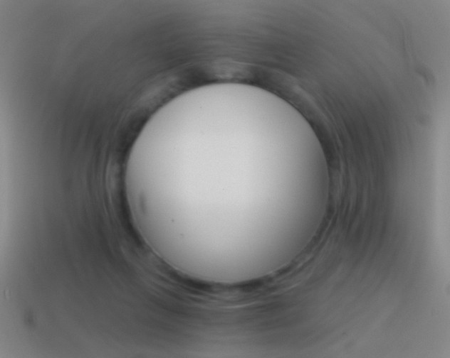 X0000114570263200910191039