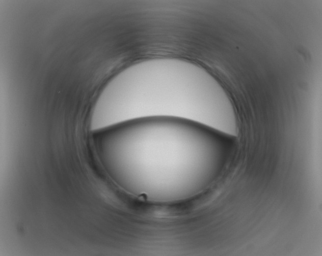 X0000114570264200910191039