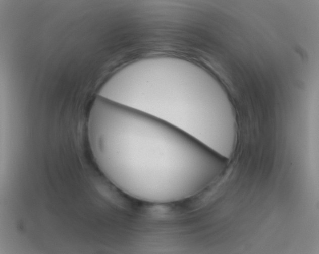 X0000114570265200910191039