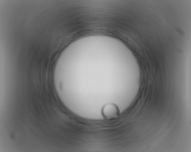 X0000114570268200910191039