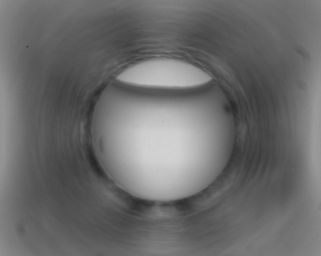 X0000114570270200910191039