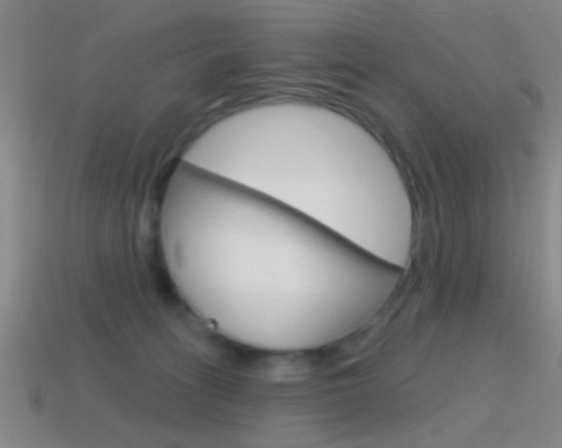 X0000114570275200910191039
