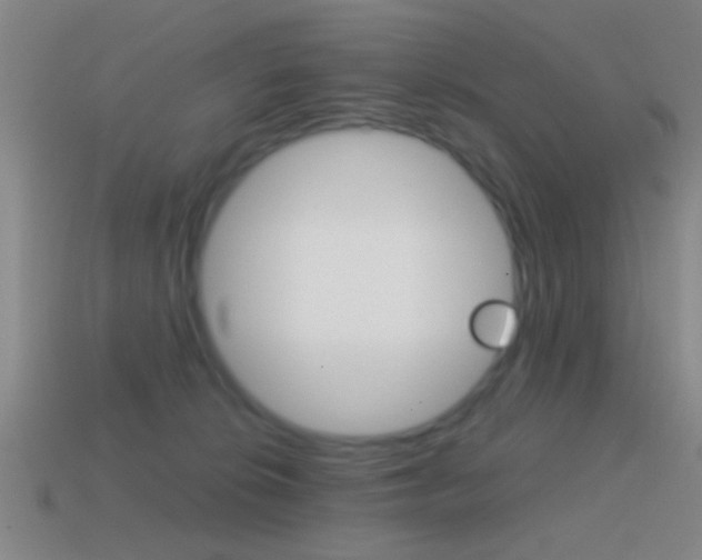 X0000114570276200910191039