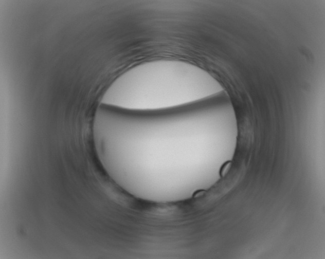 X0000114570278200910191039