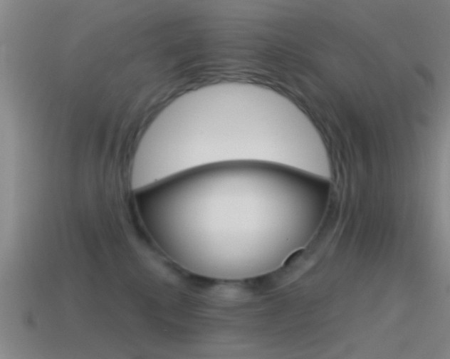 X0000114570280200910191039