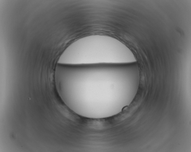 X0000114570282200910191039
