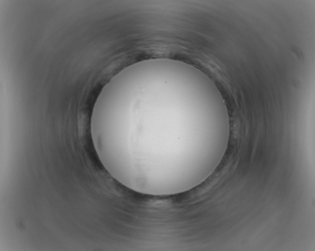 X0000114570283200910191039