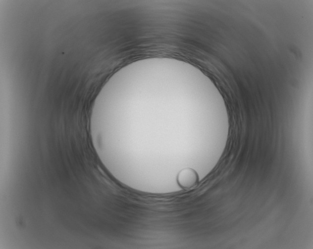 X0000114570284200910191039