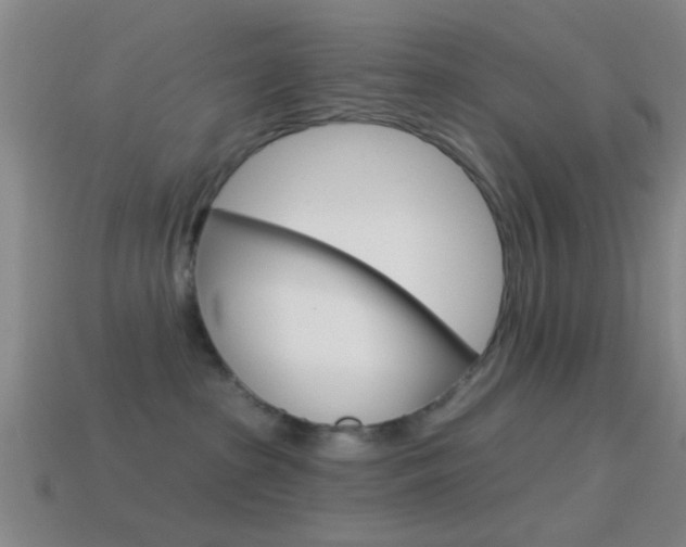 X0000114570285200910191040