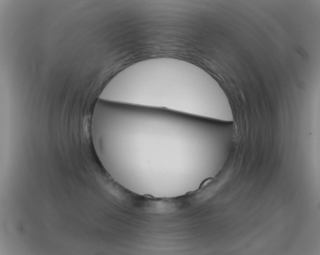 X0000114570286200910191040