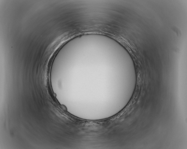 X0000114570290200910191039