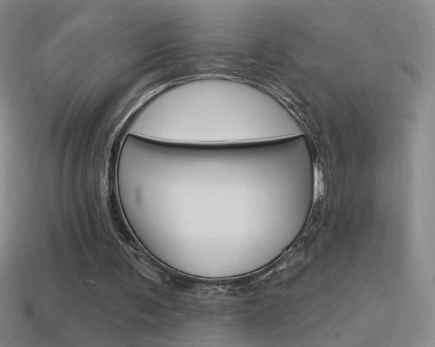 X0000114570291200910191039