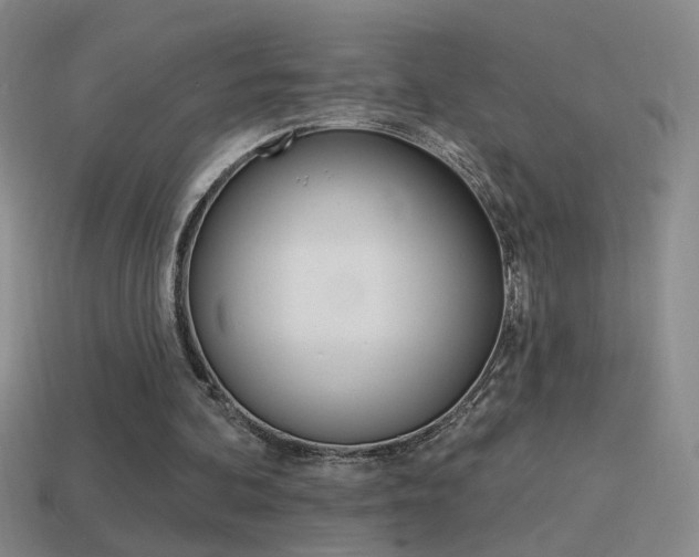 X0000114570292200910191039