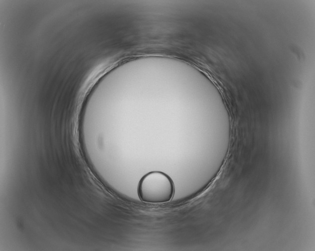 X0000114570293200910191039