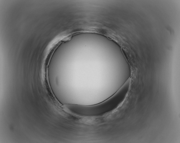 X0000114570294200910191039