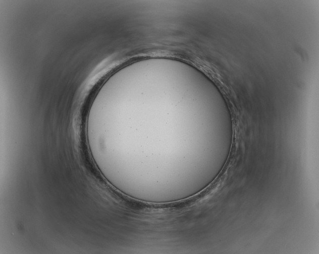 X0000114570295200910191039