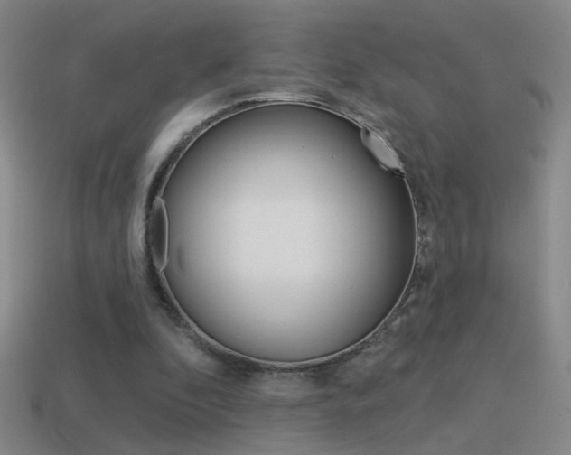 X0000114570296200910191039