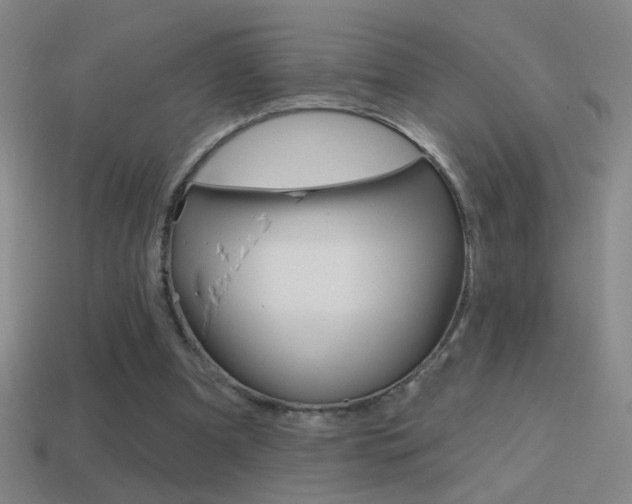 X0000114570297200910191039