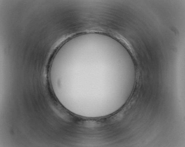 X0000114570298200910191039