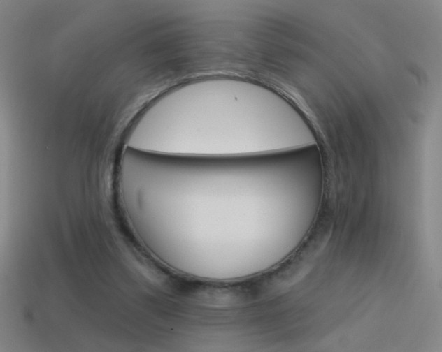 X0000114570299200910191039