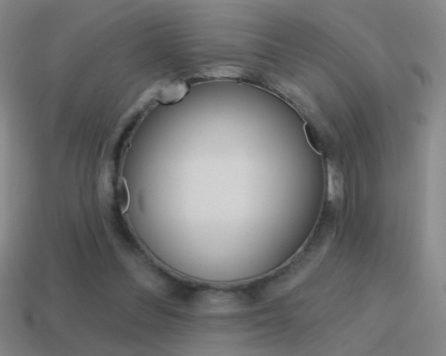 X0000114570300200910191039