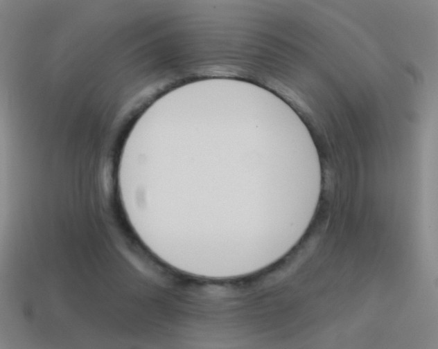 X0000114570302200910191039