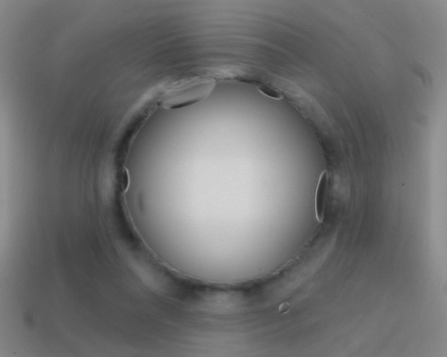 X0000114570304200910191039