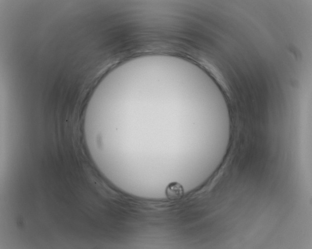 X0000114570305200910191039