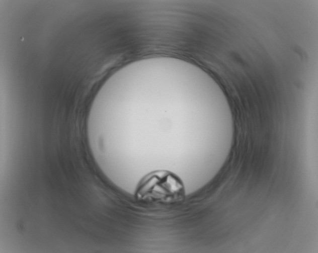 X0000114570308200910191039