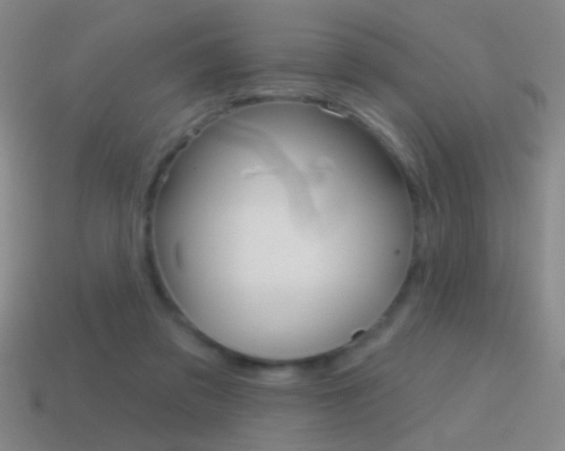 X0000114570309200910191039