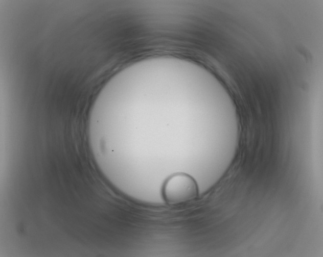 X0000114570313200910191039